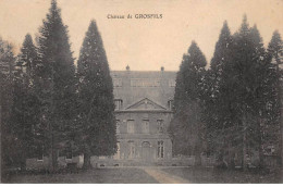 Château De GROSFILS - Très Bon état - Otros & Sin Clasificación