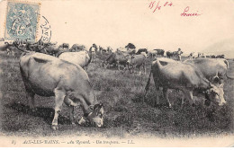 AIX LES BAINS - Au Revard - Un Troupeau - Très Bon état - Aix Les Bains