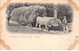 AIX LES BAINS - Attelage De Boeufs - Très Bon état - Aix Les Bains