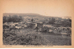 NEUVY SUR LOIRE - Vue Générale - Très Bon état - Altri & Non Classificati