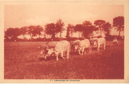 Labourage En Nivernais - Très Bon état - Autres & Non Classés