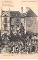 TANNAY - Château De Pignol - état - Tannay