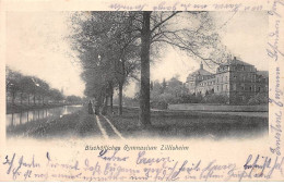 ZILLISHEIM - Bischofliches Gymnasium - Très Bon état - Autres & Non Classés