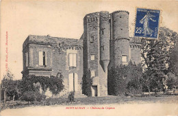 MONTAUBAN - Château De Capoue - Très Bon état - Montauban