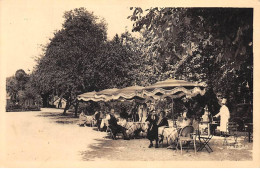 BARBIZON - Hotel Bellevue Et De L'Angelus - Son Restaurant En Plein Air - Très Bon état - Barbizon