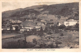 COLIGNY - Vue Générale Du Vieux Coligny - Très Bon état - Zonder Classificatie