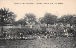 Vallée De CHEVREUSE - Colonie Agricole Notre Dame Des Roses - Très Bon état - Chevreuse