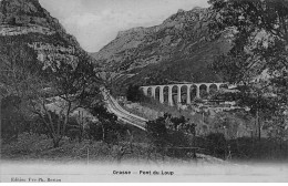 GRASSE - Pont Du Loup - état - Grasse