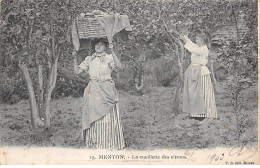 MENTON - La Cueillette Des Citrons - Très Bon état - Menton