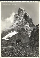 11638860 Matterhorn VS Mann Mit Pferd Zermatt Matterhorn VS - Sonstige & Ohne Zuordnung