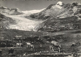 11638796 Grimsel Pass Hospiz Kuehe Furkastrasse Rhonegletscher Galenstock Grimse - Sonstige & Ohne Zuordnung