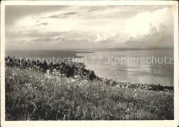 11638756 Wienacht-Tobel Landegg Bodensee Wienacht-Tobel - Other & Unclassified