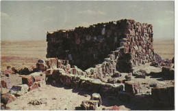 84 - Agate House  - Petrified Forest Arizona - Other & Unclassified