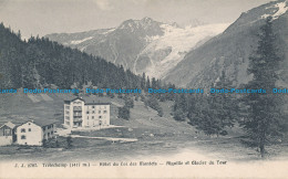 R045682 Trelechamp. Hotel Du Col Des Montets. Aiguille Et Glacier Du Tour. Julli - World