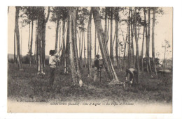 Delcampe - SOUSTONS - 40 - Landes - La Pique Et L'Amasse (Résiniers) - Achat Immédiat - Soustons