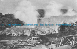 R044630 Kereru Geyser. Whakarewarewa. B. Hopkins - World