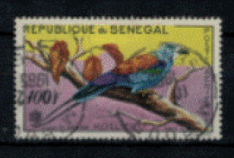 Sénégal - PA - "Oiseaux : Rollier" - Oblitéré N° 32 De 1960/63 - Senegal (1960-...)