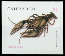 ÖSTERREICH 2007 Nr 2649 Postfrisch SCF69F2 - Unused Stamps