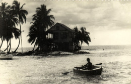 British Honduras, BELIZE, Rendezvous Caye, Palm Trees (1950s) RPPC Postcard - Belice