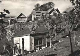 11638316 Trogen AR Kinderdorf Pestalozzi Dorfpartie Huehnerstall Trogen AR - Otros & Sin Clasificación