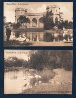 Argentine.  Buenos Aires. Jardin Zoologico ( 1875-quartier De Palermo). Lot De 2 Cartes, Cygnes Et Flamants Roses. - Argentina