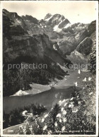 11638272 Seealpsee Panorama Meglisalp Und Altmann Appenzeller Alpen Seealpsee - Other & Unclassified