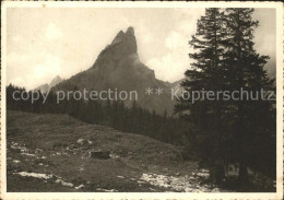 11638258 Hundstein Berggipfel Appenzeller Alpen Karte No. 214 Hundstein - Altri & Non Classificati