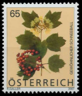 ÖSTERREICH 2007 Nr 2680 Postfrisch SD0C6C2 - Ungebraucht