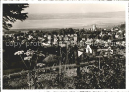 11638207 Heiden AR Panorama Blick Auf Bodensee Mit Lindau Heiden - Altri & Non Classificati