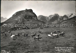 11638202 Hoher Kasten Kamoralp Almwiese Kuehe Berggasthaus Mit Altmann Und Saent - Autres & Non Classés