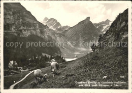 11638110 Wasserauen Berggasthaus Forelle Seealpsee Blick Gegen Altmann Saentis A - Sonstige & Ohne Zuordnung