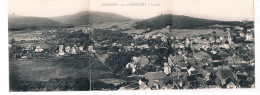 D-17110  KÖNIGSTEIN I. TAUNUS : Panorma ( 3-pieces Postcard) - Königstein