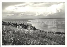 11638089 Wienacht-Tobel Abendstimmung Am Bodensee Blick Von Der Landegg Wienacht - Andere & Zonder Classificatie