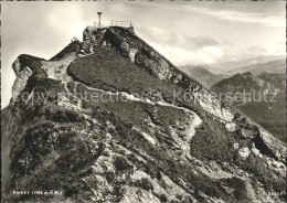 11638072 Ebnat-Kappel Speer Gipfel Aussichtsplattform Appenzeller Alpen Ebnat-Ka - Altri & Non Classificati