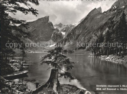 11637945 Seealpsee Panorama Blick Auf Rossmad Und Saentis Appenzeller Alpen Seea - Andere & Zonder Classificatie