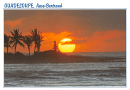 97 GUADELOUPE  Anse-Bertrand  (Scan R/V) N°   30   \PB1110 - Pointe A Pitre