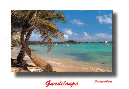 97 GUADELOUPE  SAINTE-ANNE Plage De La Caravelle   (Scan R/V) N°   23   \PB1110 - Pointe A Pitre