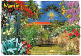 97  MARTINIQUE  Plantes Et Fleurs  (Scan R/V) N°   29   \PB1108 - Le Marin