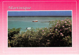 97  MARTINIQUE St François (Scan R/V) N°   27   \PB1108 - Le Marin