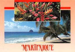 97  MARTINIQUE Rocher Du Diamant   (Scan R/V) N°   20   \PB1108 - Fort De France