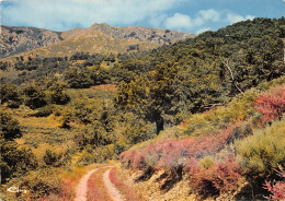 07  Valgorge Chemin De Cadail  (Scan R/V) N°  43  \PB1106 - Aubenas