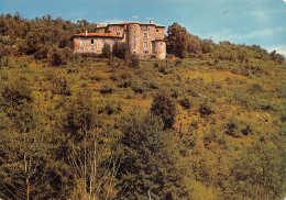 07  Jaujac Le Chateau Du Bruget    (Scan R/V) N°   29   \PB1105 - Aubenas