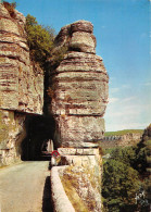 07 RUOMS Défilé Dans Les Gorges De L'Ardèche  (Scan R/V) N°   38   \PB1102 - Ruoms