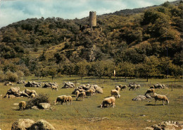 07 BARNAS  Château De Chadenac  (Scan R/V) N°   20   \PB1102 - Aubenas