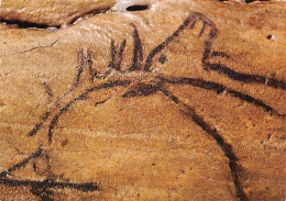 09  Grotte De Niaux Le Salon Noir Tête De CERF  (Scan R/V) N°   34   \PB1117 - Foix