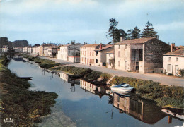 79  Coulon  La SEVRE Venise Verte Cathédrale De Verdure    (Scan R/V) N°   19   \PB1116 - Niort