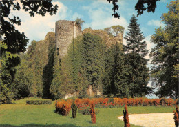 18 SANCOINS Le Chateau De Jouy  (Scan R/V) N°   22   \PB1115 - Sancoins