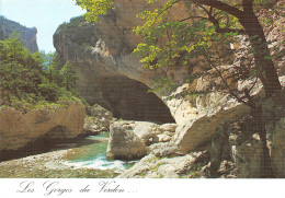 04 Baume Aux Pigeons  04120 La Palud-sur-Verdon    (Scan R/V) N°   5   \PB1113 - Manosque