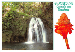 97 Guadeloupe  Route Des Mamelles Cascade Aux Ecrevisses (Scan R/V) N°   42   \PB1111 - Saint Barthelemy