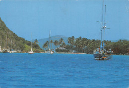 97 Guadeloupe LES-SAINTES  Terre-de-Haut           (Scan R/V) N°   6   \PB1111 - Pointe A Pitre